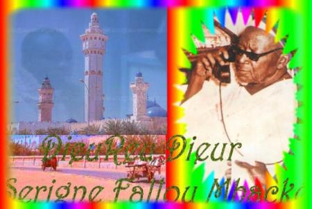 serigne fallou mbcke